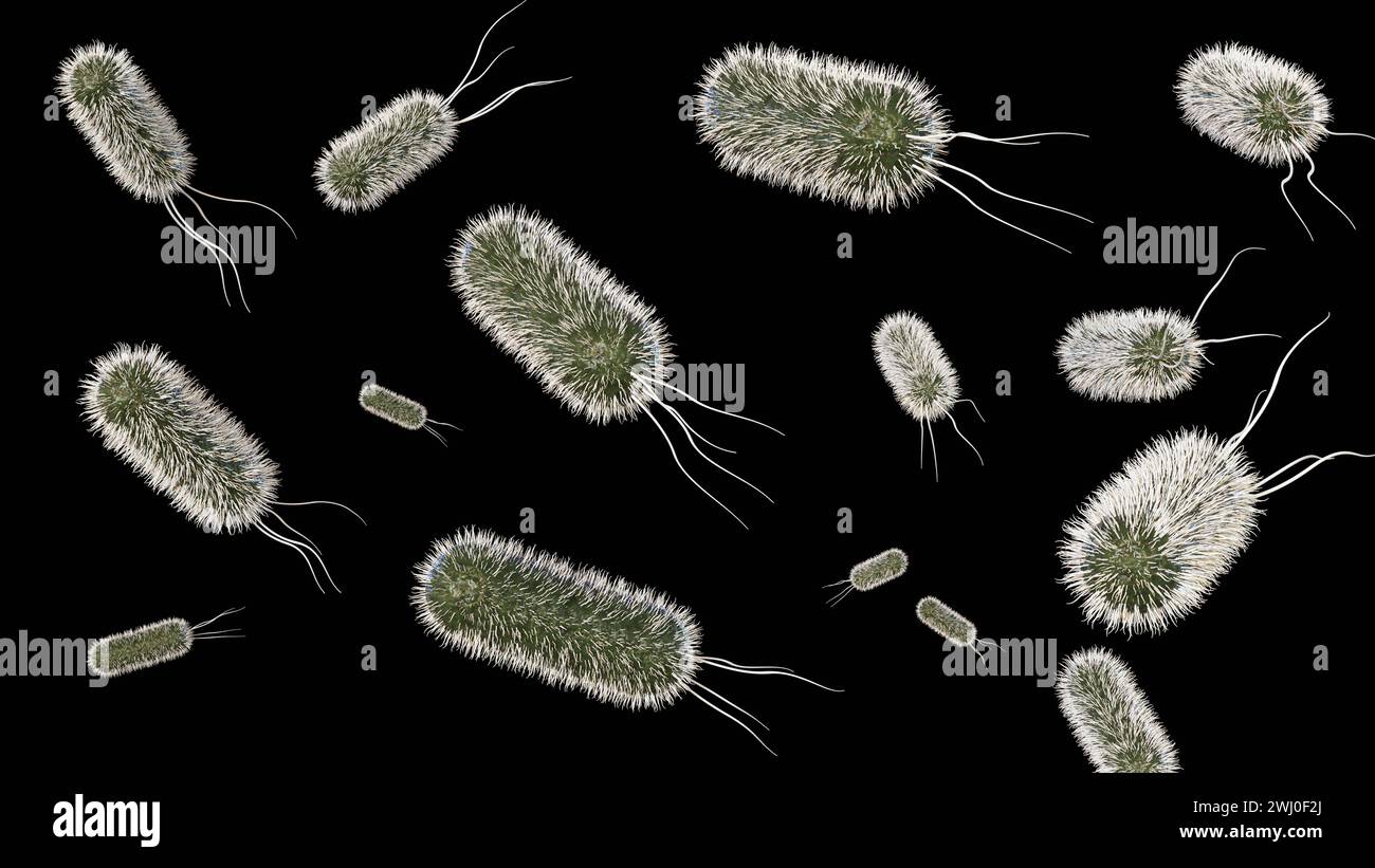 Rendering 3d della distribuzione di E. coli a livello microscopico Foto Stock