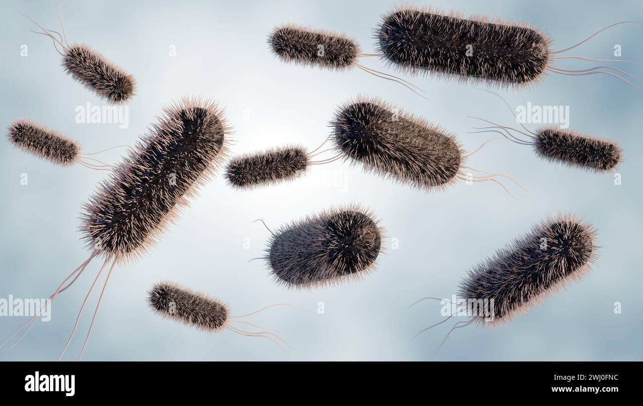 Rendering 3d della distribuzione di E. coli a livello microscopico Foto Stock