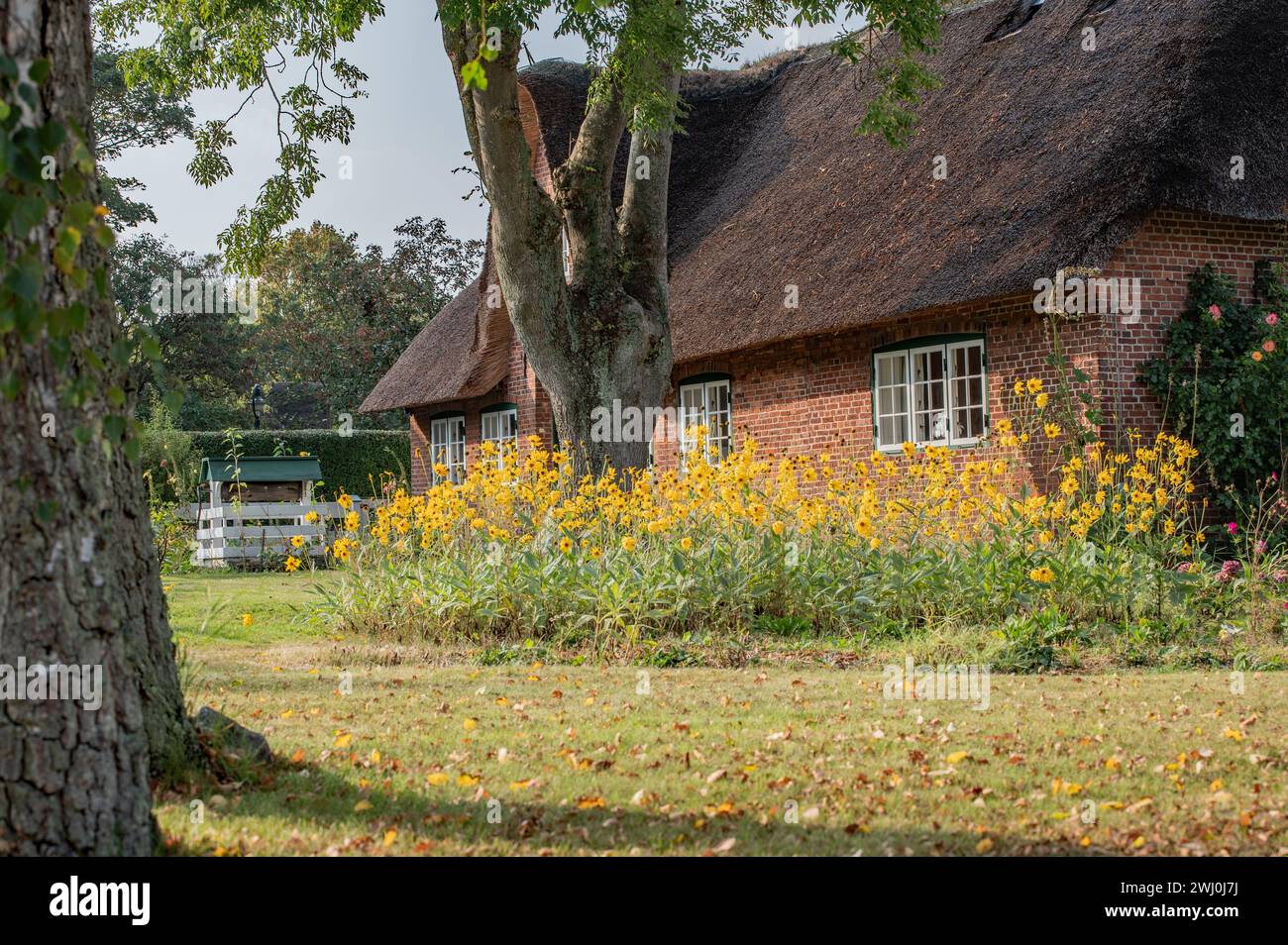 Tetto di Paglia house Foto Stock