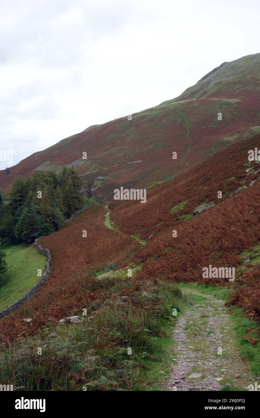 Il sentiero per il Wainwright 'Bonscale Pike' da Coombs sulla Bridleway da Martindale a Howtown, Lake District National Park, Cumbria, Inghilterra, Regno Unito. Foto Stock