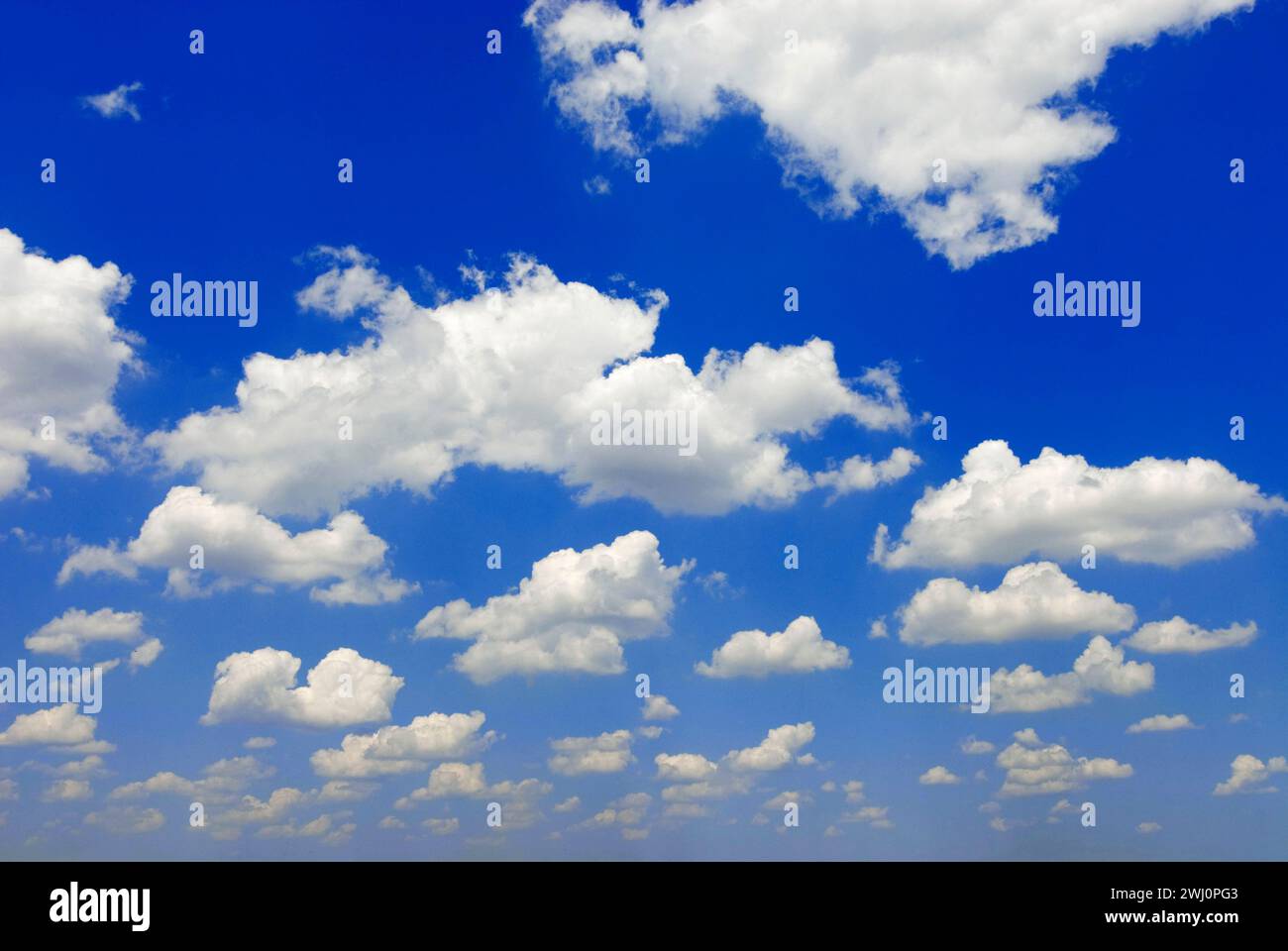 Cielo azzurro e bianco cumulus humilis nuvole di bel tempo, vicino a Matera, Italia Foto Stock