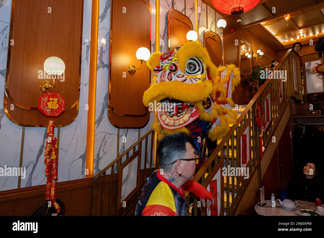 Lion Dance per celebrare il Capodanno cinese del Drago entra in un ristorante a Chinatown per benedirli per l'anno che precede il 10 febbraio 2024 a Londra, Regno Unito. Chinatown è un'enclave etnica confinante con Soho e attualmente occupa l'area intorno a Gerrard Street. Contiene un certo numero di ristoranti cinesi, panetterie, supermercati, negozi di souvenir e altre aziende a gestione cinese. Foto Stock