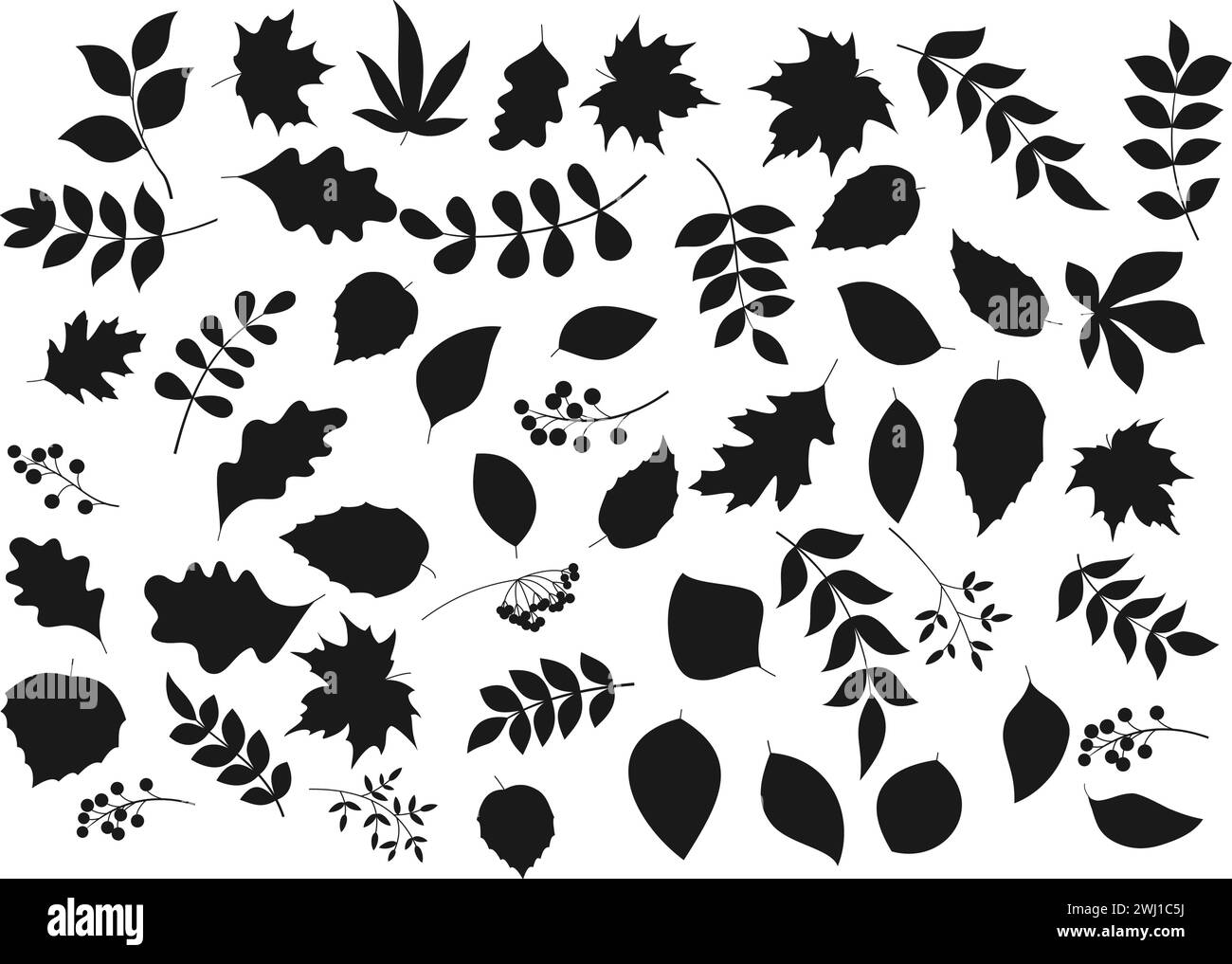 Silhouette nere vettoriali di foglie e frutti di bosco. Acero, rowan e castagno, quercia, olmo, frassino e rami di betulla. Fogliame monocromatico autunnale e elementi di bacche sono isolati su sfondo bianco Illustrazione Vettoriale