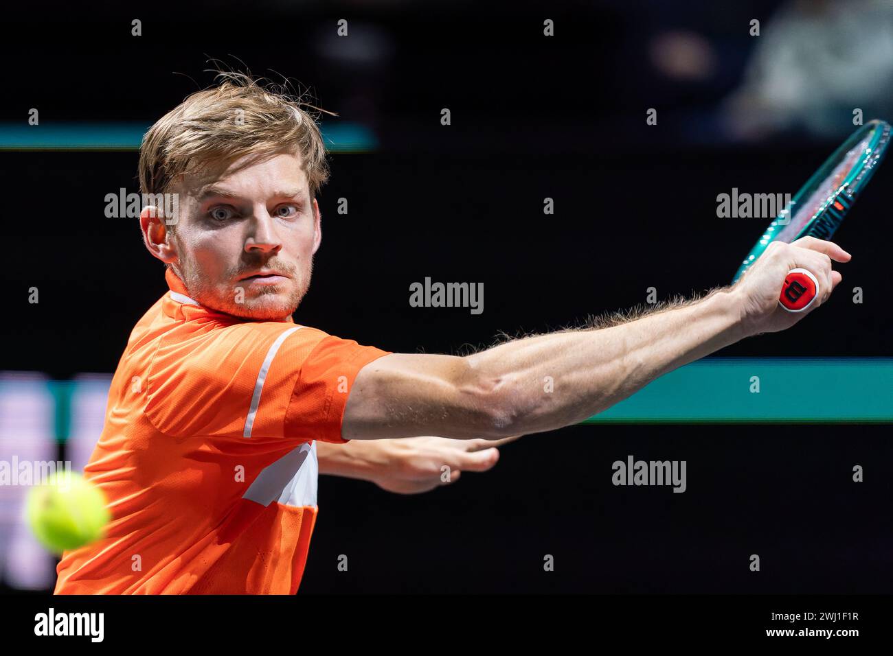 Rotterdam, Paesi Bassi. 12 febbraio 2024. ROTTERDAM, PAESI BASSI - 12 FEBBRAIO: Il belga David Goffin durante il giorno 1 dell'ABN AMRO Open 2024 ad Ahoy il 12 febbraio 2024 a Rotterdam, Paesi Bassi. (Foto di Joris Verwijst/Agenzia BSR) credito: Agenzia BSR/Alamy Live News Foto Stock