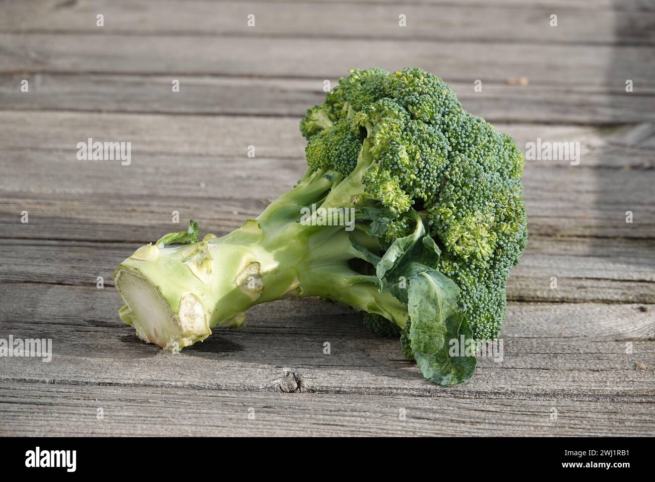 Brassica oleracea var. italica, broccoli Foto Stock