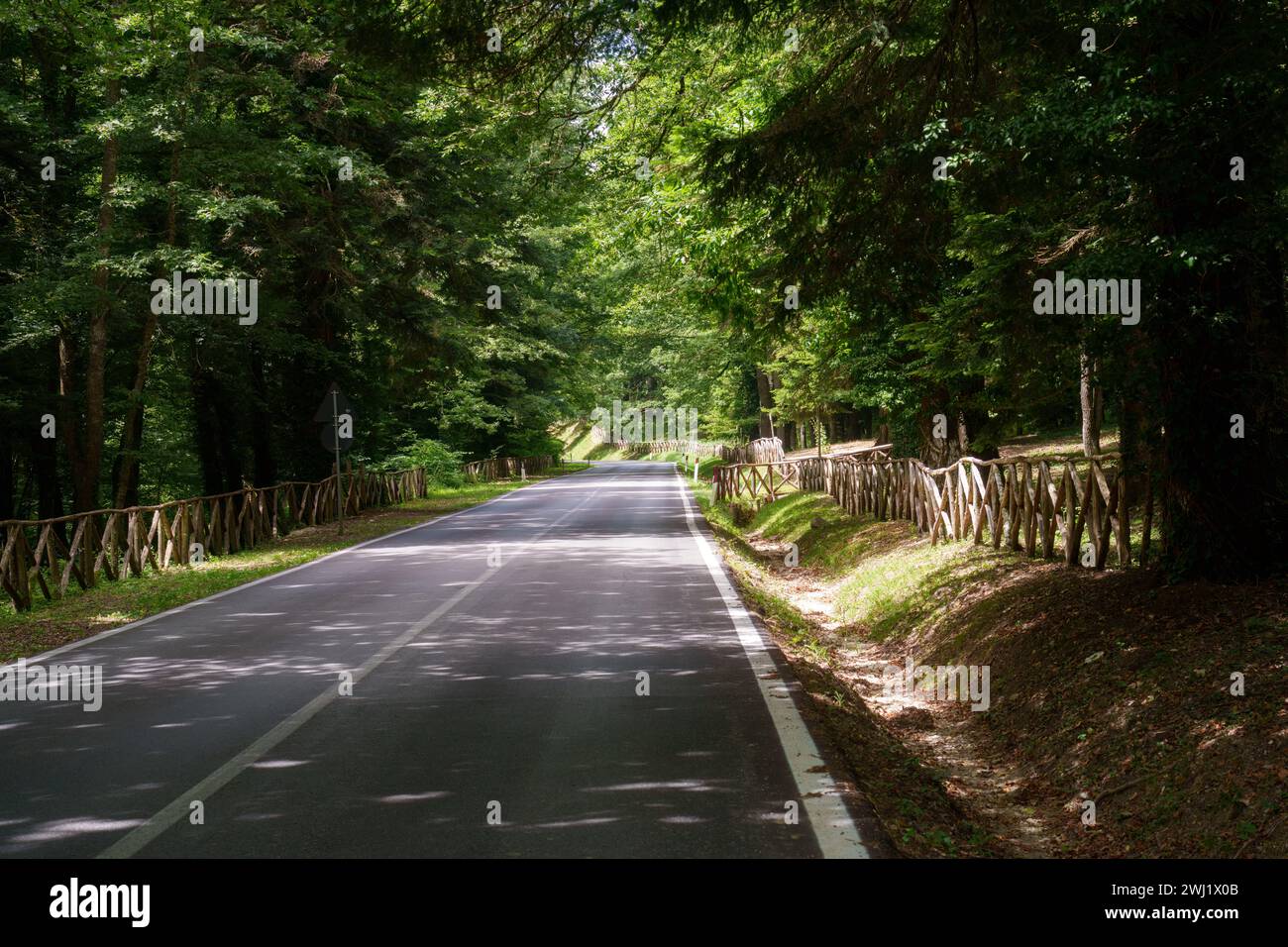 La strada per pescolanciano, provincia di Isernia, in Molise, Italia, in estate Foto Stock