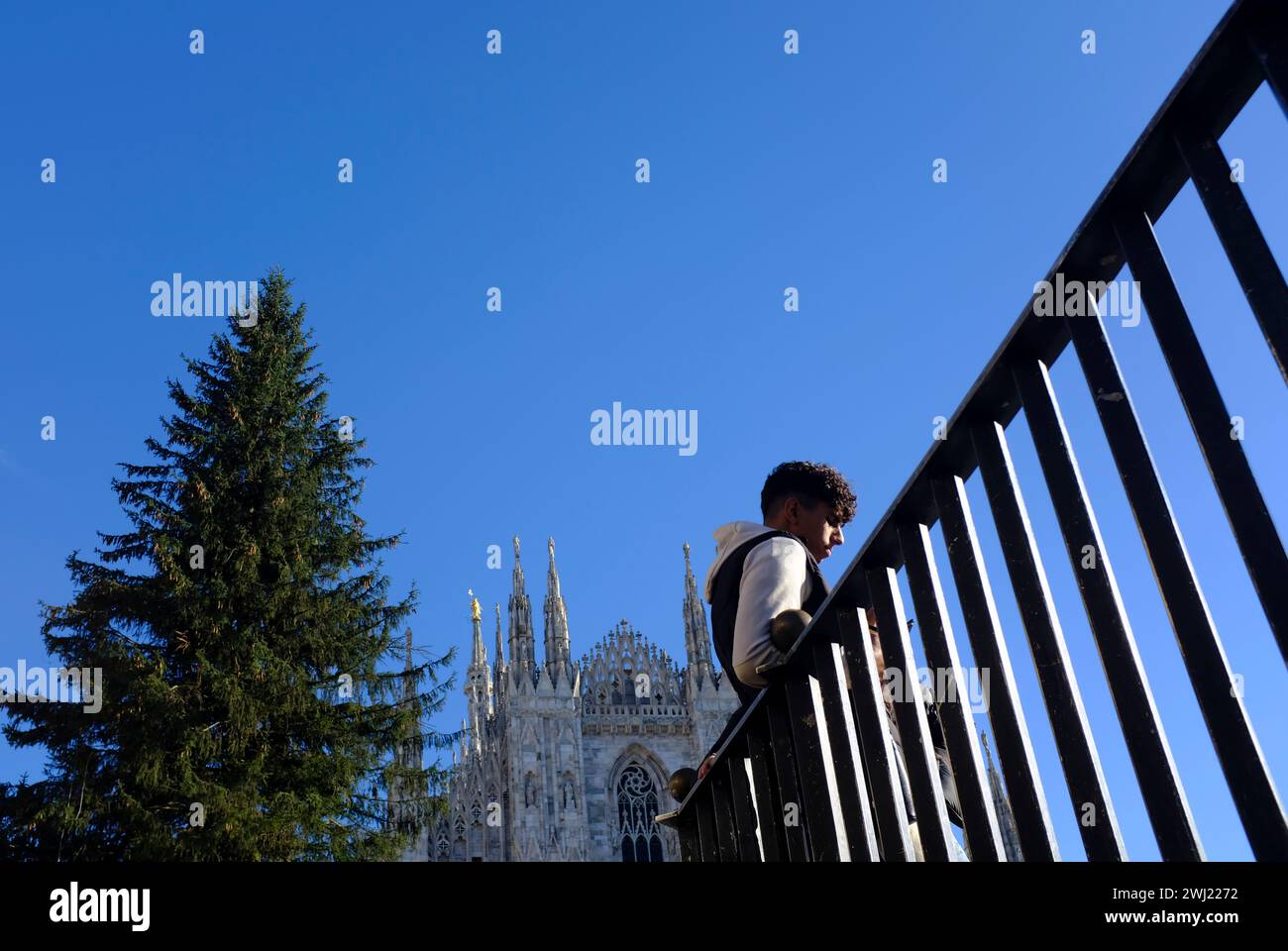 Un albero di Natale, eretto ma non decorato vicino al Duomo di Milano Foto Stock