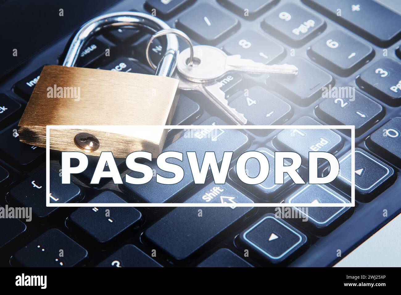 Lucchetto e computer portatile con campo password. Concetti di privacy delle informazioni e sicurezza informatica Foto Stock