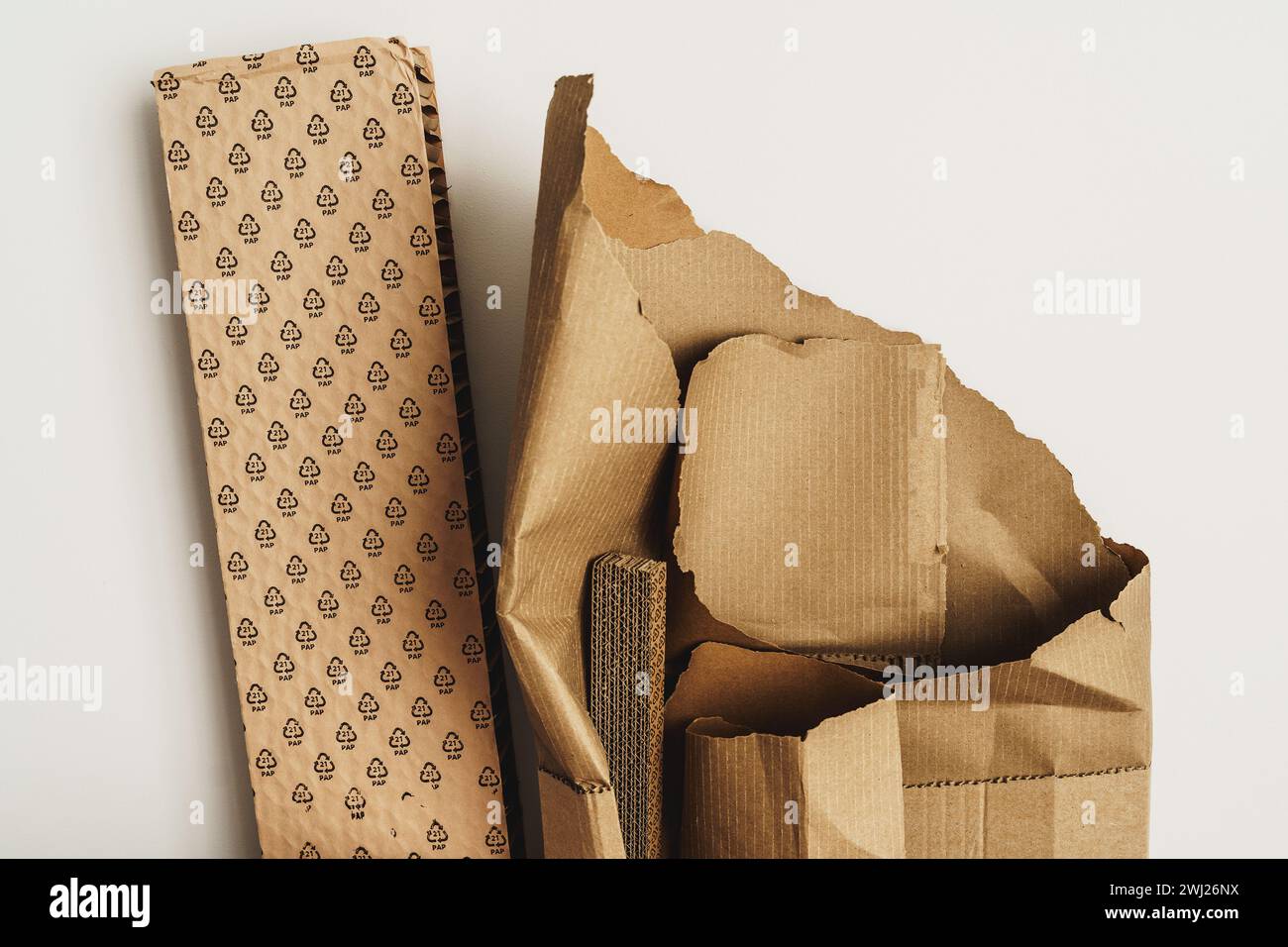 Primo piano dei rifiuti di cartone con il simbolo pap 21. Concetti di riciclaggio della carta e smistamento dei rifiuti Foto Stock