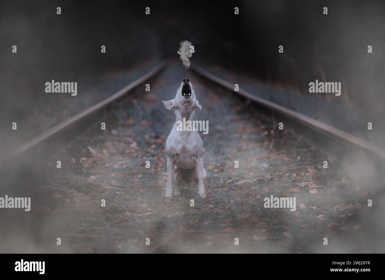 Spaventoso ritratto di un cane nella persona di Hellowen. Foto Stock