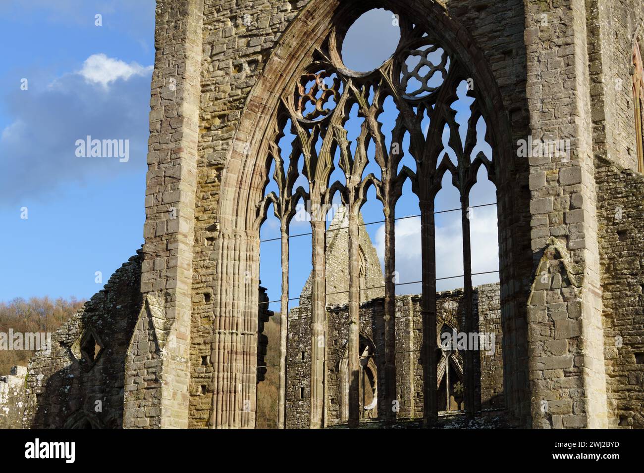 L'abbazia di Tintern è stata fondata nel 1131 e si trova accanto al villaggio di Tintern sul fiume Wye, ed è in fase di ristrutturazione per renderla stabile. Foto Stock