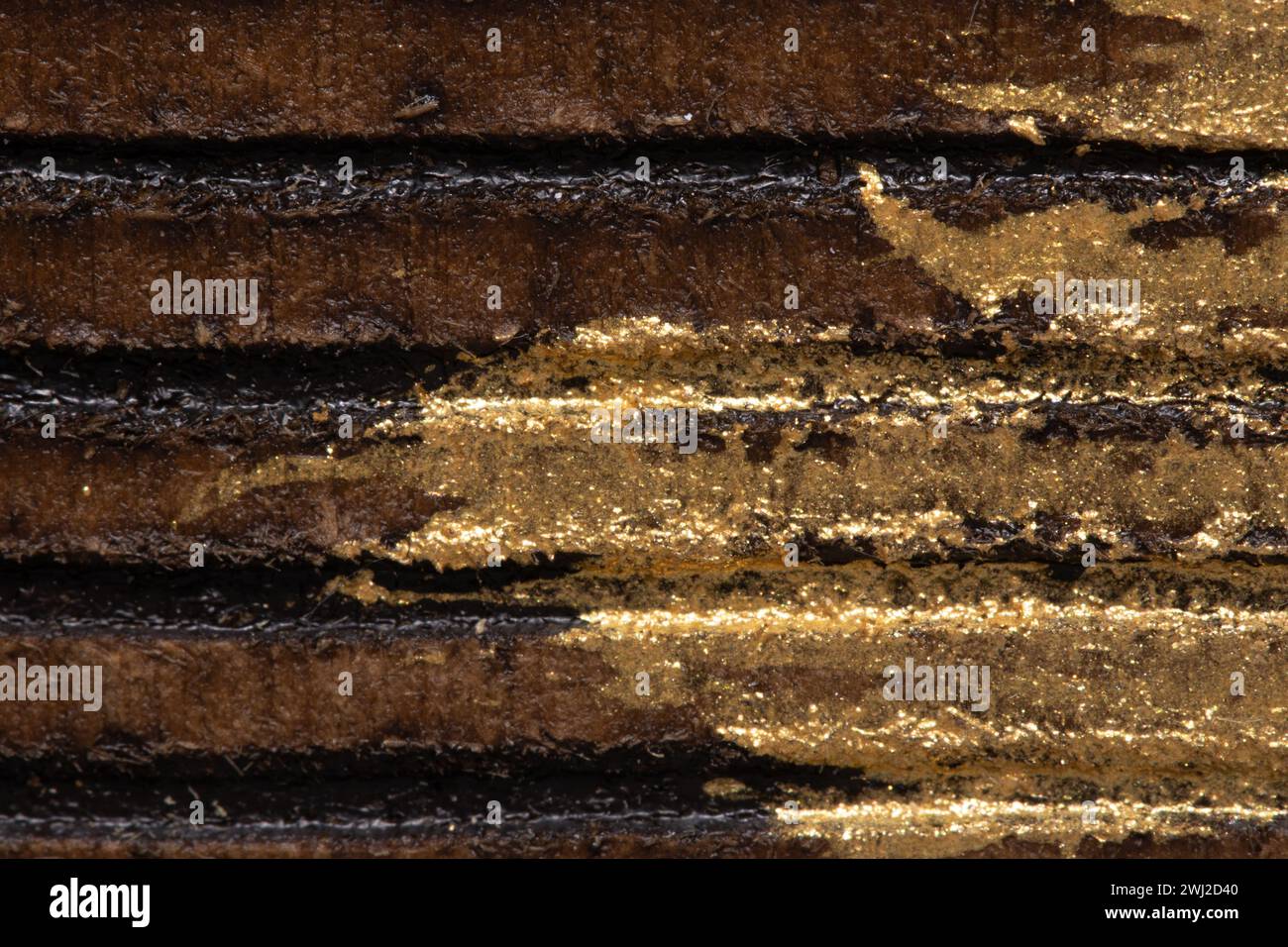 Questa immagine presenta uno scatto ravvicinato di una superficie testurizzata con strisce dorate e nere alternate, che mostrano dettagli intricati e una lucentezza metallica. Foto Stock