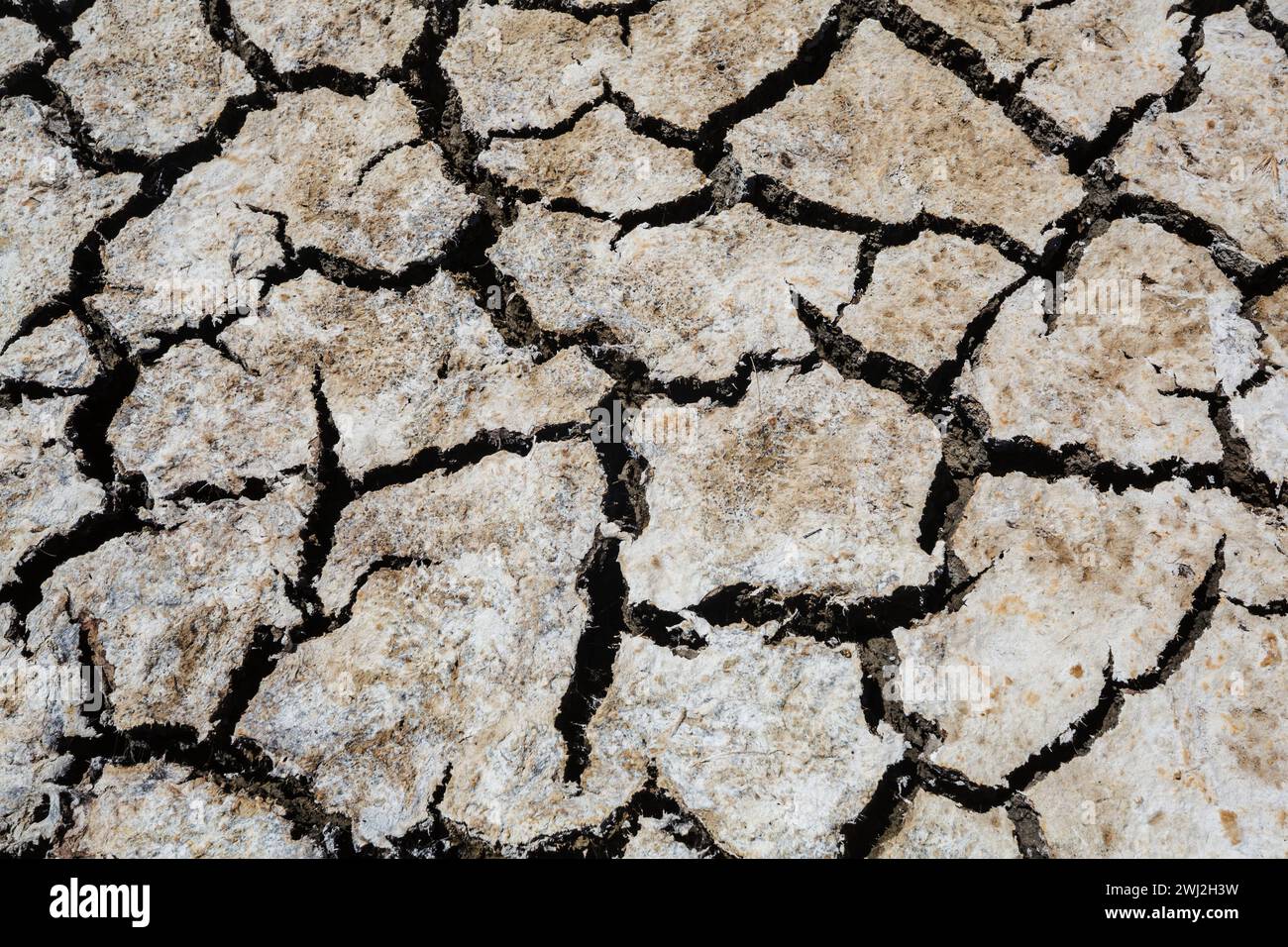 Terra di siccità Foto Stock