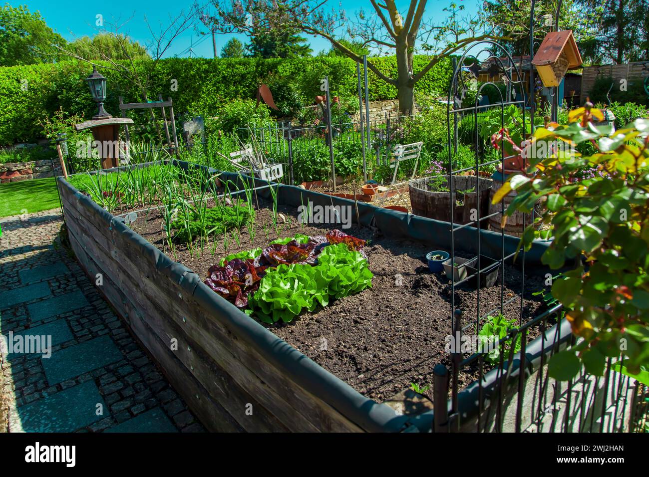 Giardino residenziale, orto privato. Design paesaggistico nel giardino della casa, splendido paesaggio Foto Stock
