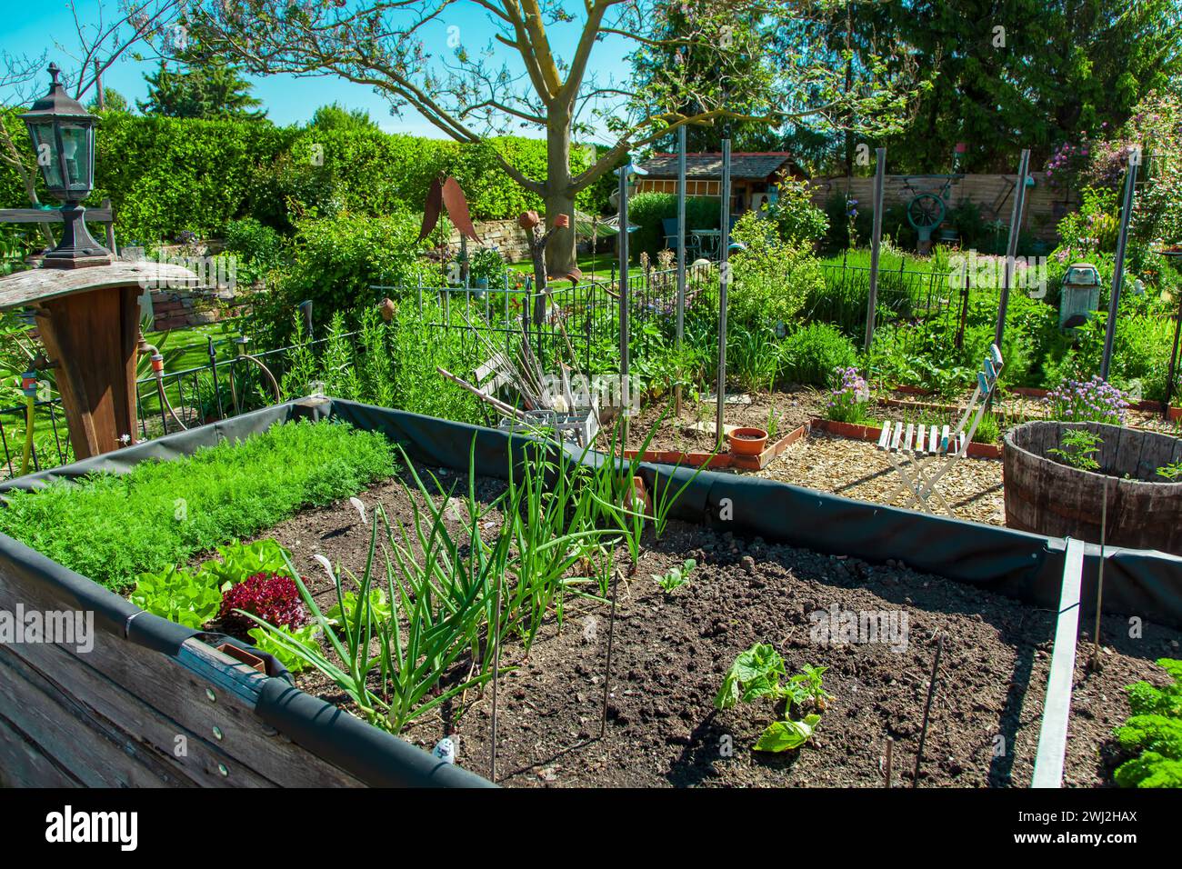 Giardino residenziale, orto privato. Design paesaggistico nel giardino della casa, splendido paesaggio Foto Stock
