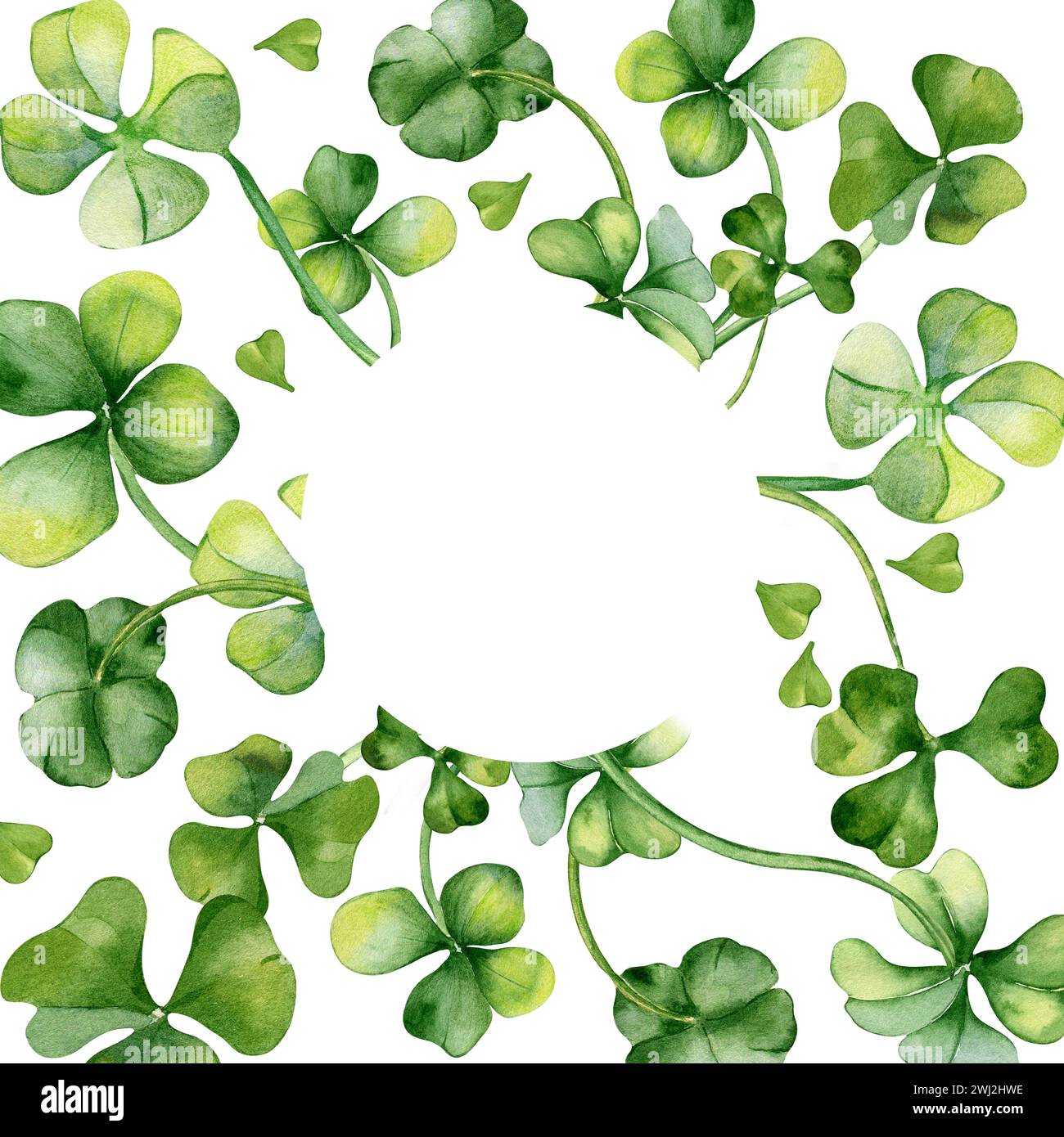 Cornice circolare con illustrazione ad acquerello shamrock e trifoglio isolata su sfondo bianco. Dipinto verde quattro foglie. Simbolo celtico disegnato a mano. Desig Foto Stock