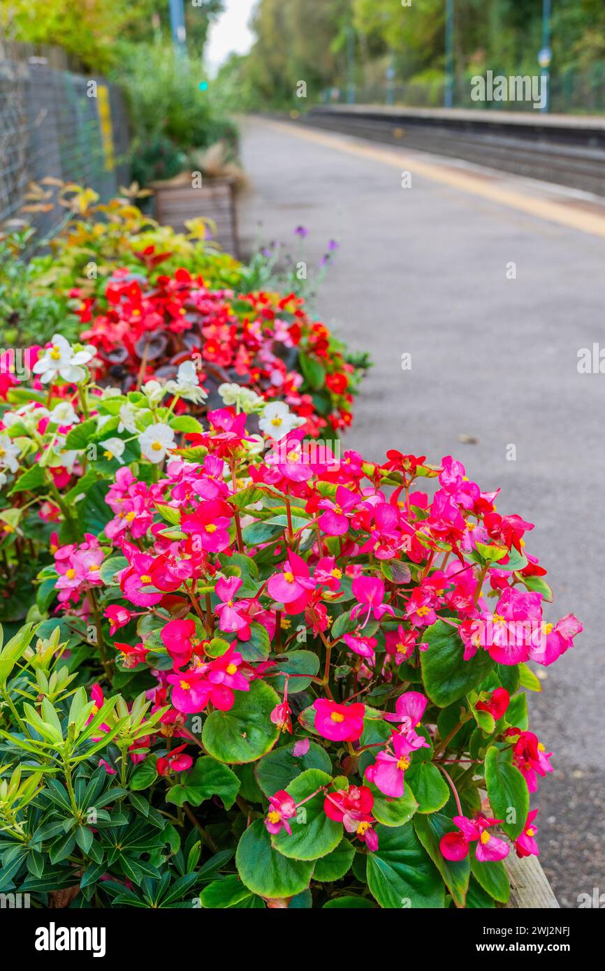 country stazione ferroviaria britannica lapworth warwickshire inghilterra regno unito Foto Stock