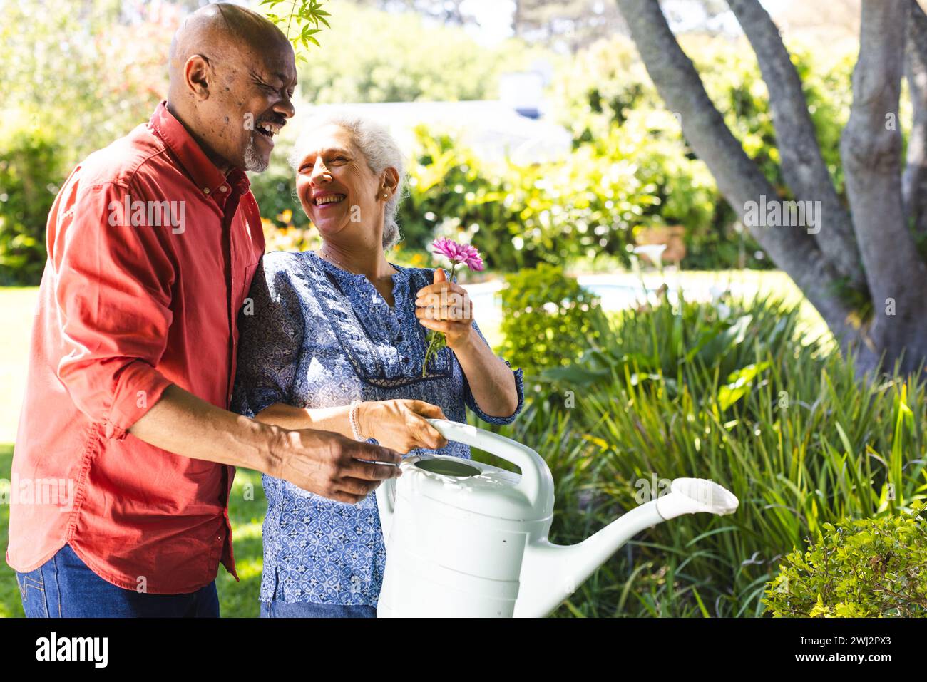 Una coppia di anziani felice e variegata giardinaggio nel giardino soleggiato Foto Stock