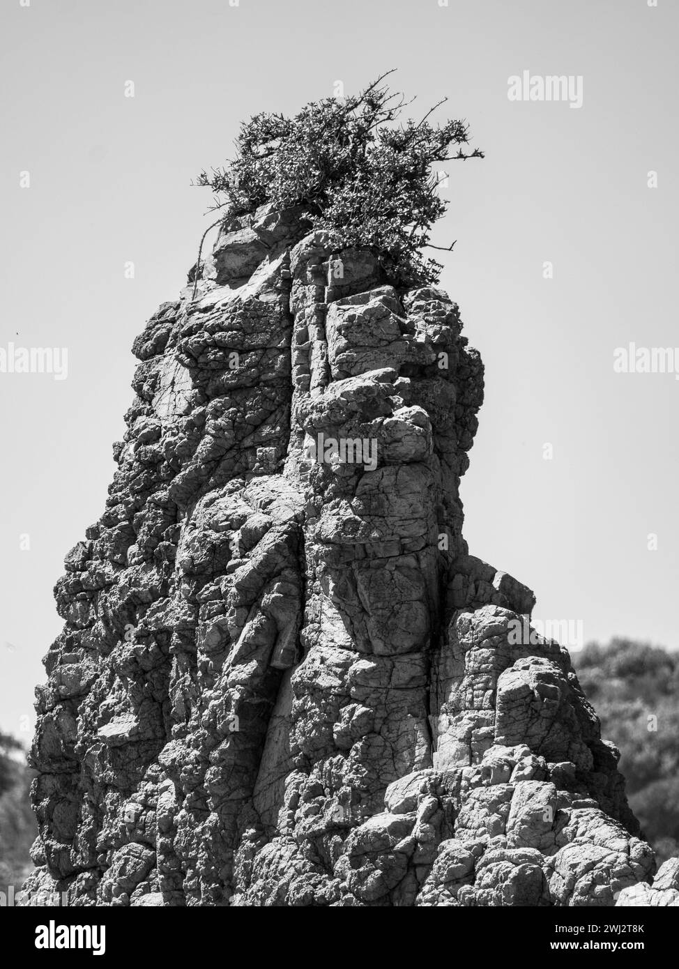 Alte rocce adornate da lussureggianti piante Foto Stock