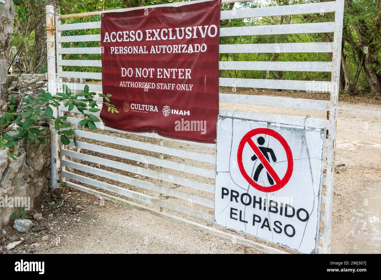 Merida Messico, sito archeologico di Dzibilchaltun Parco Nazionale, rovine della città della civiltà maya, zona Arqueologica de Dzibilchaltun, cartello porta W Foto Stock