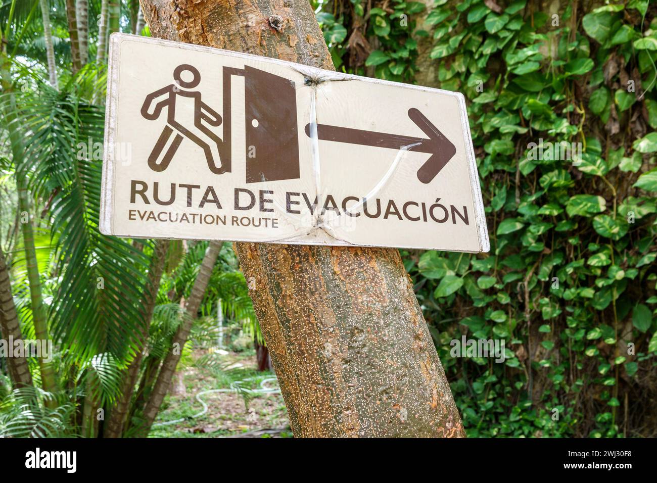 Merida Messico, sito archeologico di Dzibilchaltun Parco Nazionale, rovine della città della civiltà Maya, zona Arqueologica de Dzibilchaltun, segno due 2 languag Foto Stock