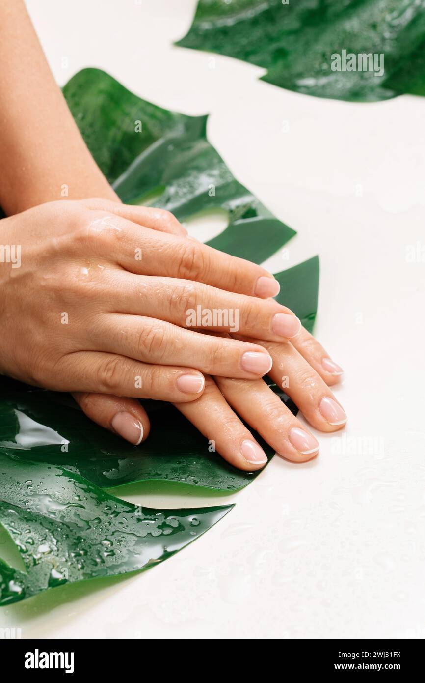 Primo piano delle mani femminili bagnate con pelle oleosa idratata Foto Stock