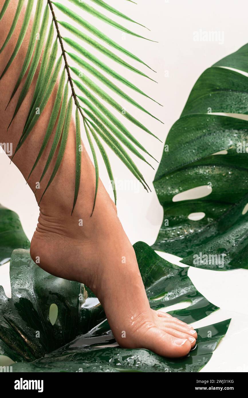 Piedi femminili bagnati con pelle liscia e foglie tropicali Foto Stock