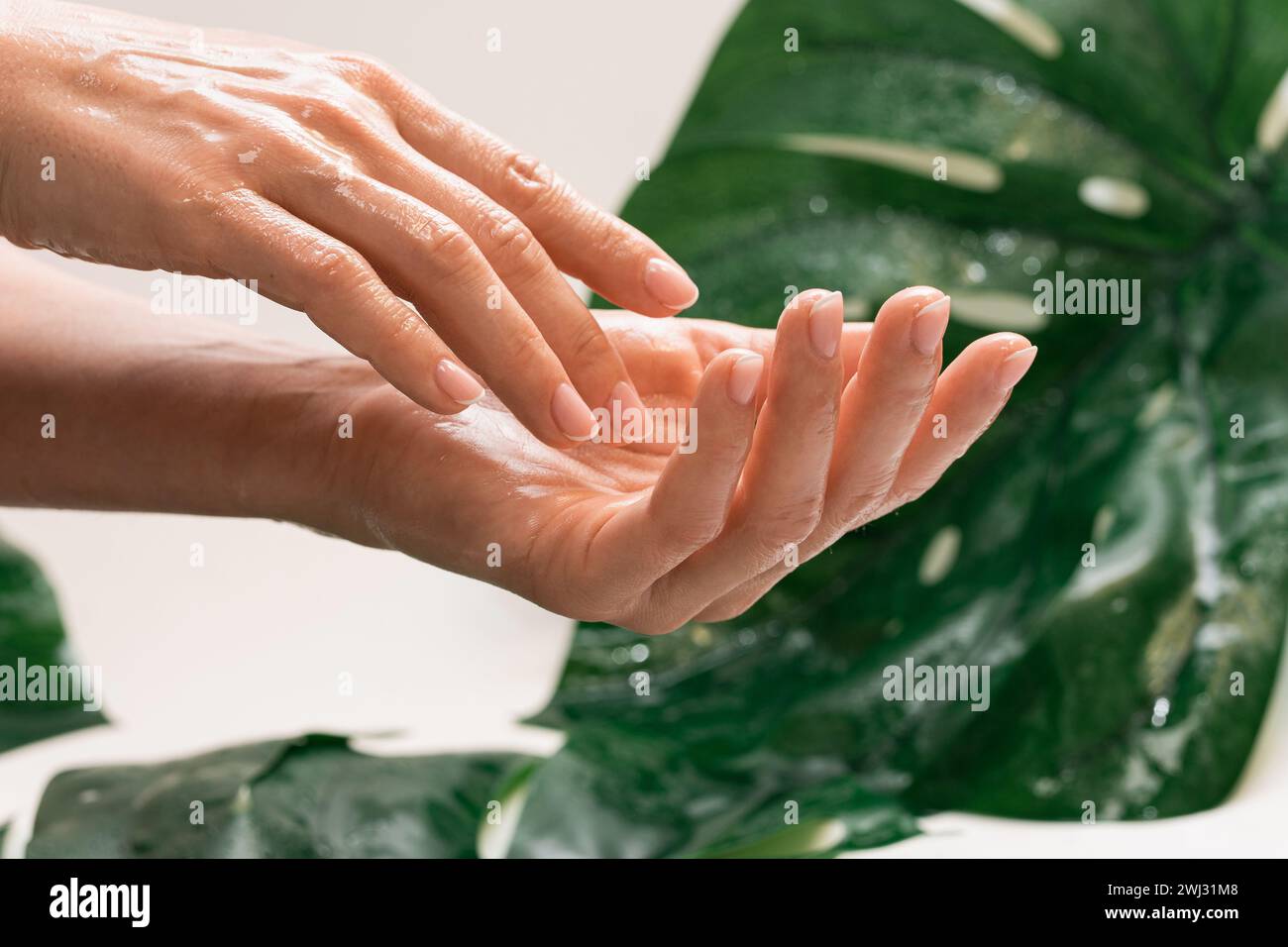 Bagnare le mani femminili con pelle oleosa idratata Foto Stock