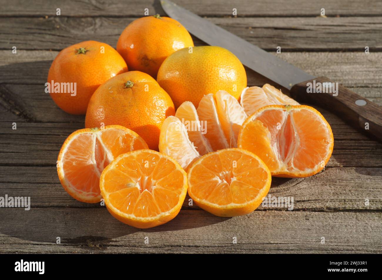 Citrus x clementina SRA 89, Clementine, specie Foto Stock