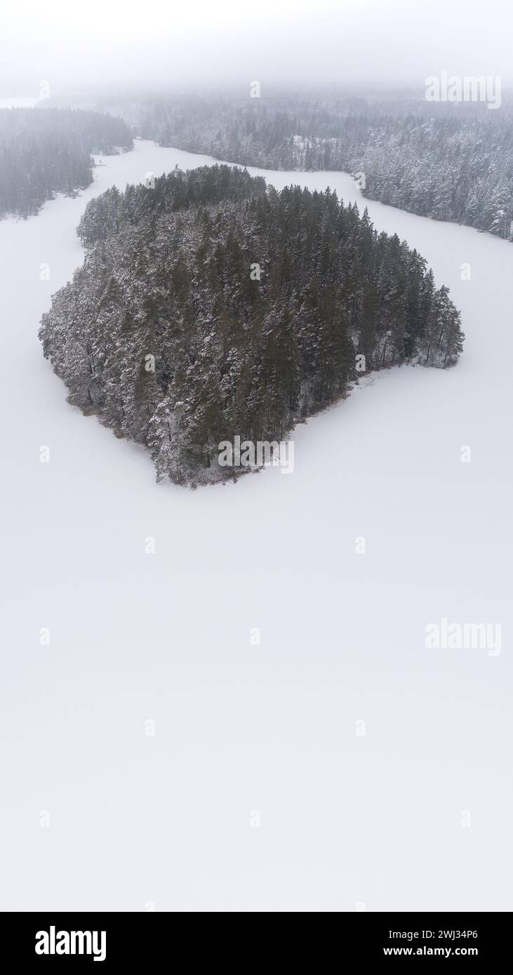 Vista aerea della foresta invernale ricoperta di neve e del lago ghiacciato dall'alto, catturato con un drone in Svezia. isola ricoperta di alberi nel lago ghiacciato. Foto Stock