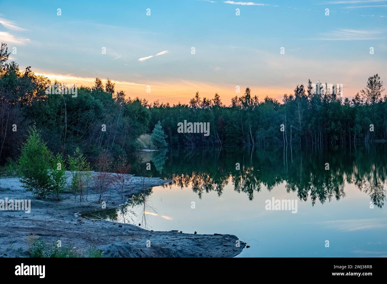 Riflessioni al crepuscolo presso il lago Forest Foto Stock