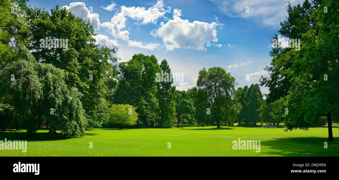 Bel prato con erba verde in grande parco pubblico. Foto Stock