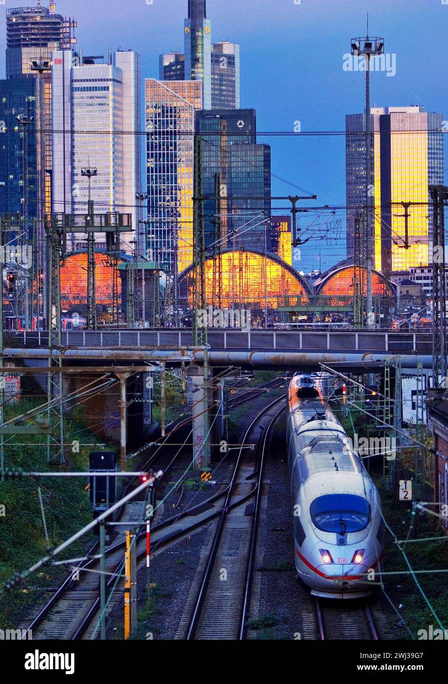 Vista sulla città con treno ed edifici alti al crepuscolo, Francoforte sul meno, Assia, Germania, Europa Foto Stock
