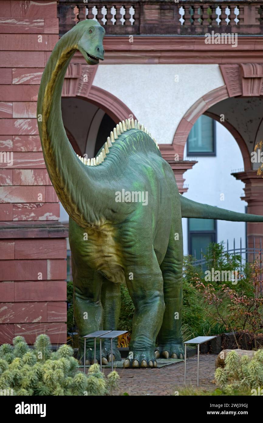Ricostruzione di un Dilpodocus longus, Senckenberg Nature Museum, Francoforte sul meno, Germania, Europa Foto Stock