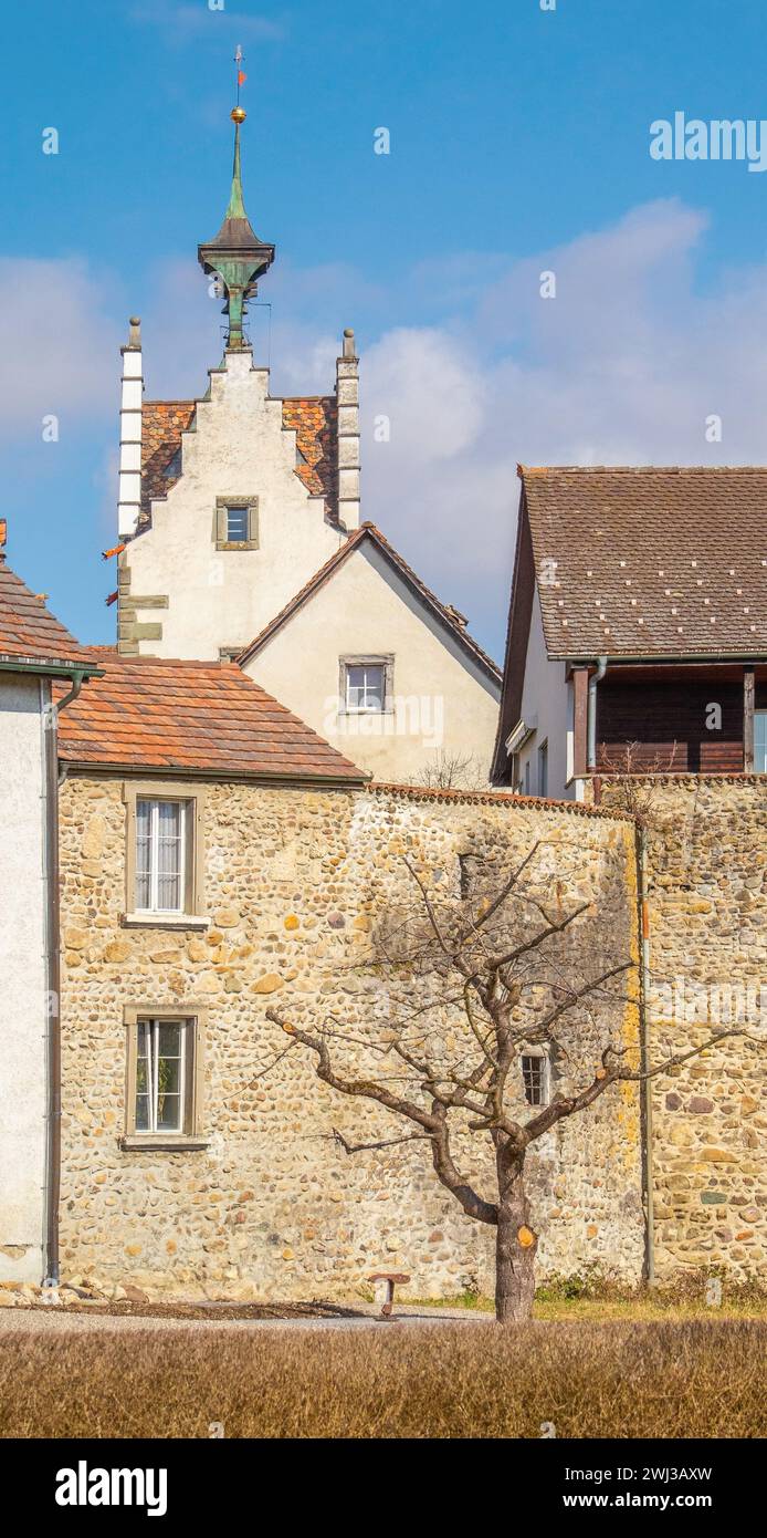 Torre delle foche, cancello della città e mura della città Diessenhofen, Svizzera Foto Stock