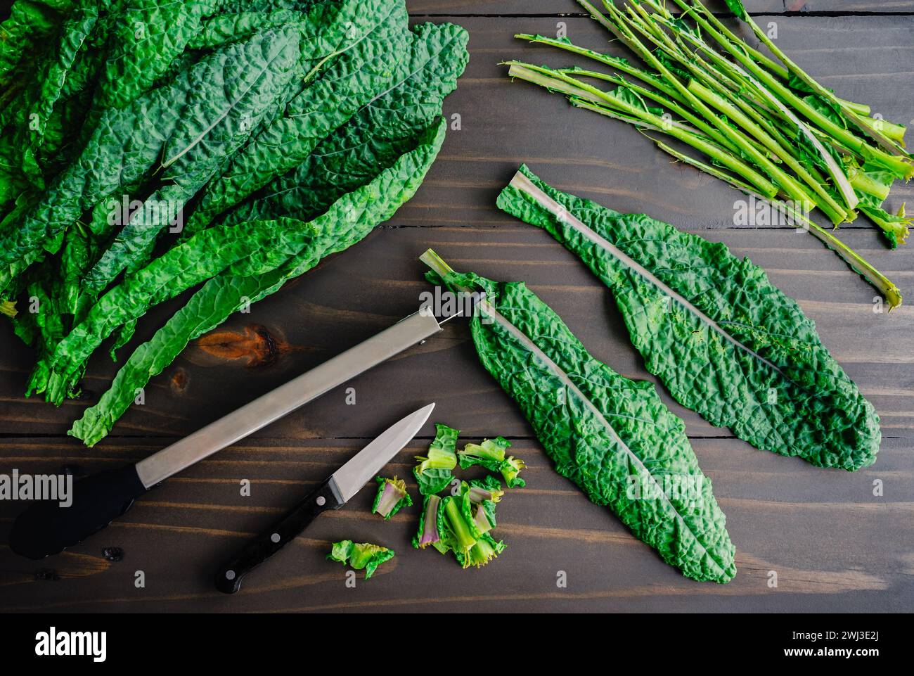 Stampigliatura delle foglie di Lacinato Kale con una coppia di pinze: Incidere la cucina con pinze per rimuovere le foglie dai gambi di cavolo fresco toscano Foto Stock