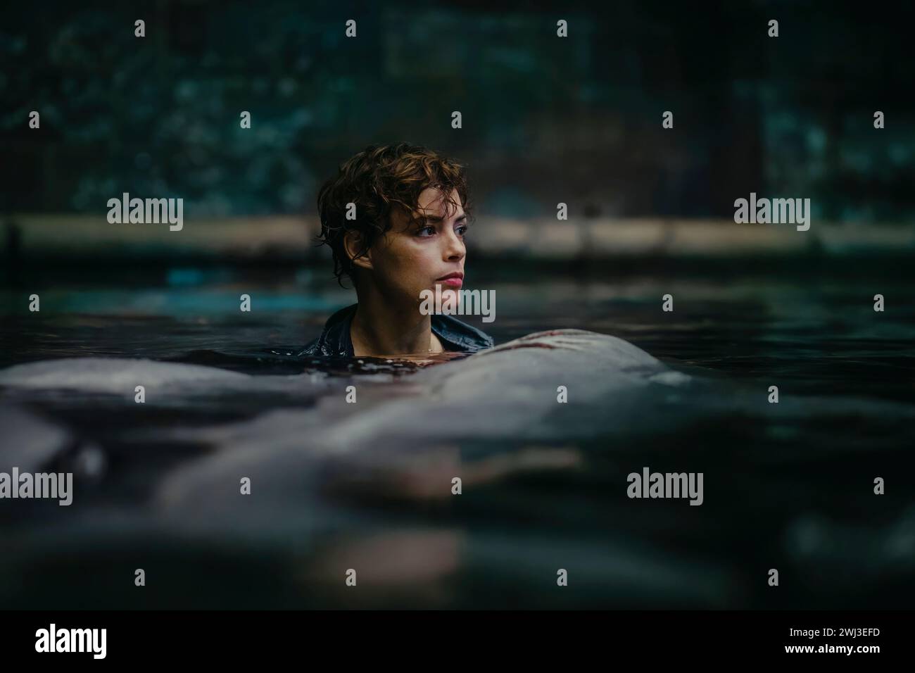 Under Paris (2023) diretto da Xavier Gens e interpretato da Bérénice Bejo nel ruolo di Sophia, una scienziata marina che deve prevenire un bagno di sangue quando uno squalo gigante appare nella Senna prima di un triathlon a Parigi. Fotografia pubblicitaria ***SOLO PER USO EDITORIALE***. Credito: BFA / Netflix Foto Stock