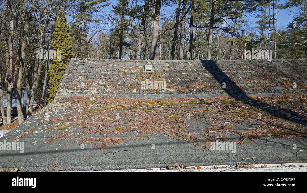 Tetto che necessita di riparazione con tegole danneggiate ricoperte da detriti di alberi, aghi, muschio Foto Stock