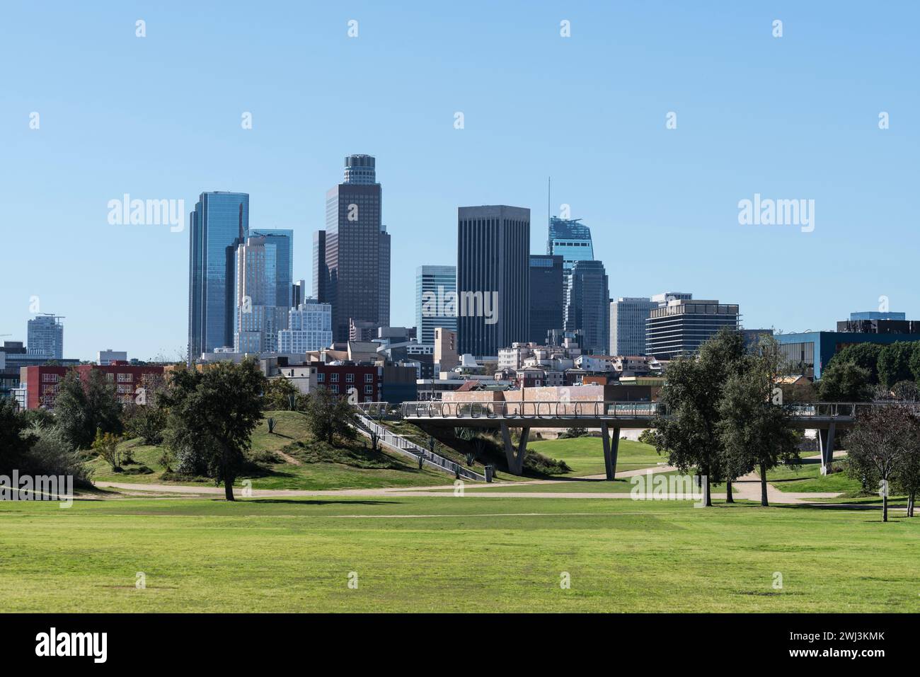 Skyline del centro di Los Angeles con parco urbano in primo piano. Foto Stock