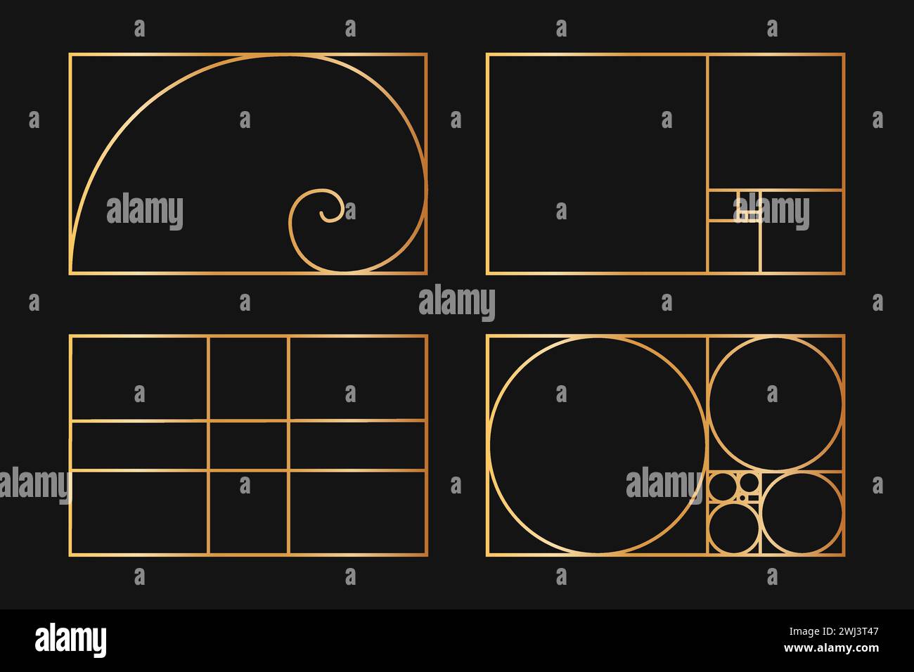 Raccolta di modelli Golden ratio. Spirale logaritmica. La sequenza di Fibonacci è costituita da cornici rettangolari divise su linee, quadrati e cerchi. Perfetta simmetria naturale proporzioni griglie. Illustrazione vettoriale Illustrazione Vettoriale