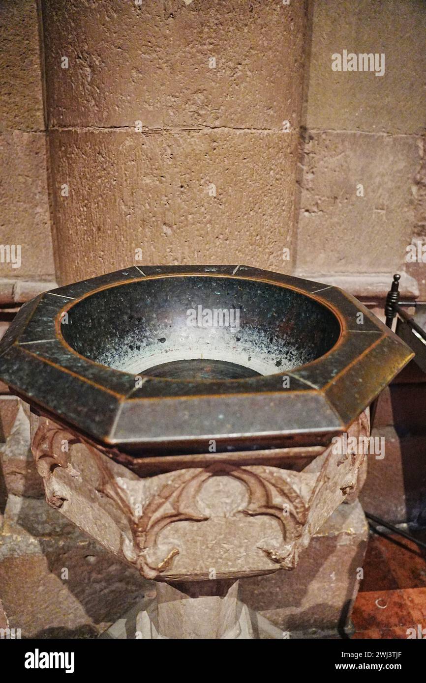 Cattedrale cattolica di Magonza; fonte d'acqua Santa Foto Stock