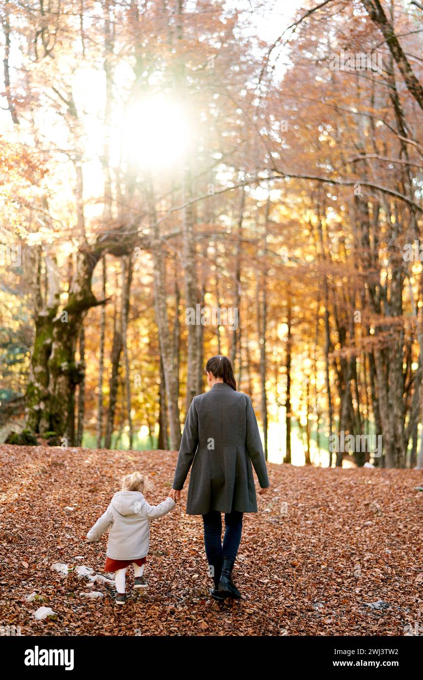 Mamma e una bambina camminano attraverso le foglie cadute in una foresta soleggiata, tenendosi per mano. Vista posteriore Foto Stock