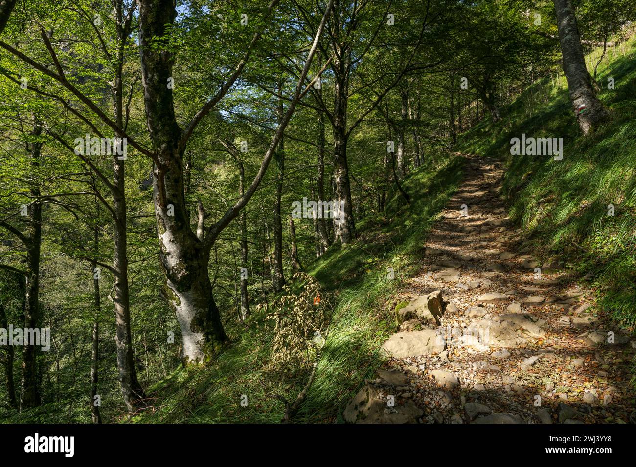 GR Path Altxonbide ibilbidea. GR 35 Foto Stock