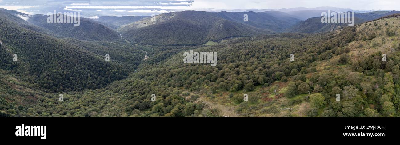 Parco naturale di Aralar Foto Stock