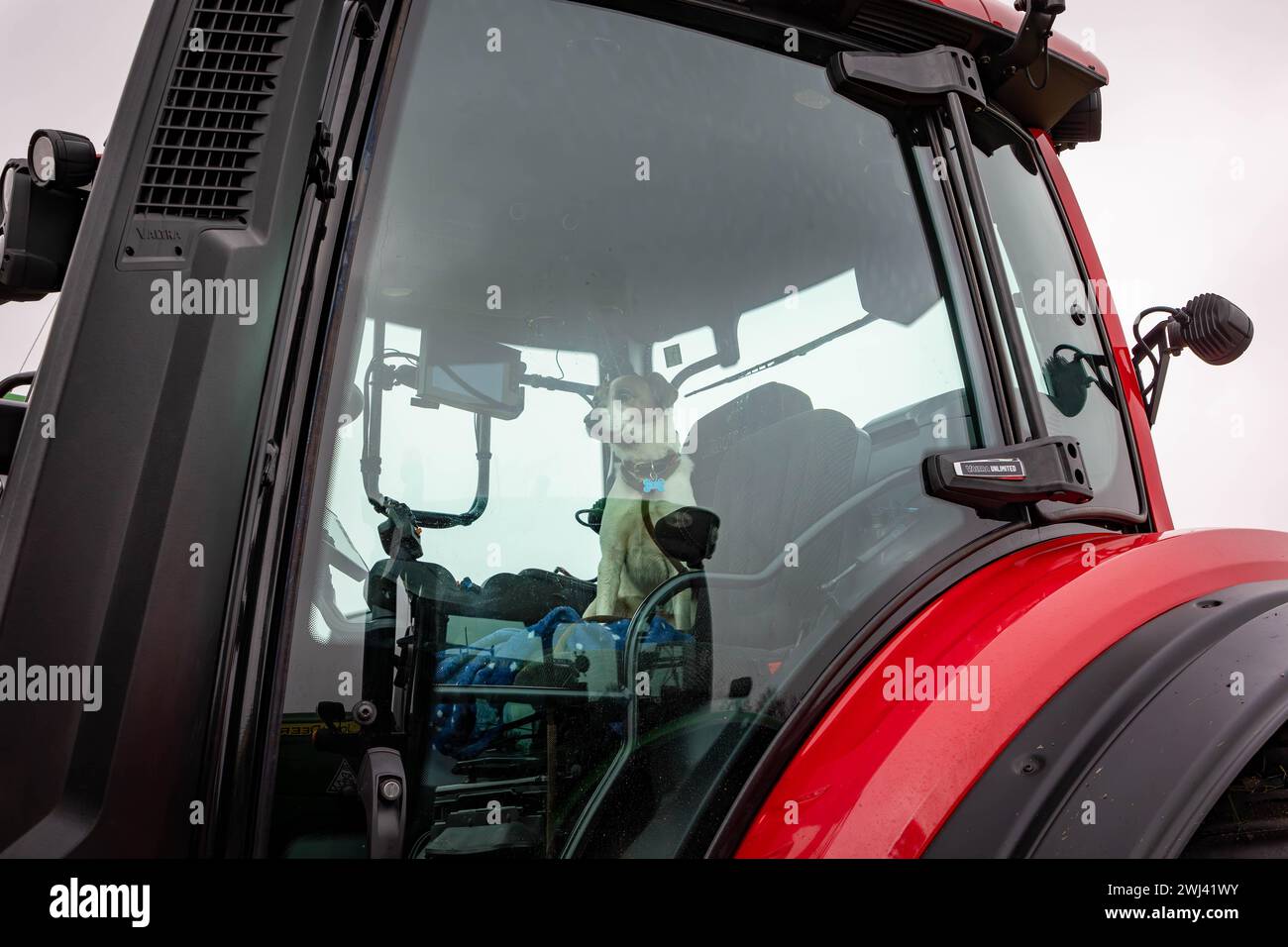 Febbraio 2024 - lo Stretton Young Farmers Club ha ospitato un'associazione benefica Tractor Run nei villaggi di Warrington in aiuto della British Heart Foundation Foto Stock