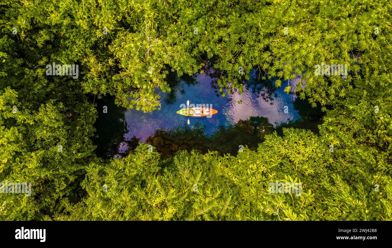 Coppia in kayak nella giungla di Krabi Thailandia, uomini e donne in kayak in una giungla tropicale nella foresta di mangrovie Krabi Foto Stock