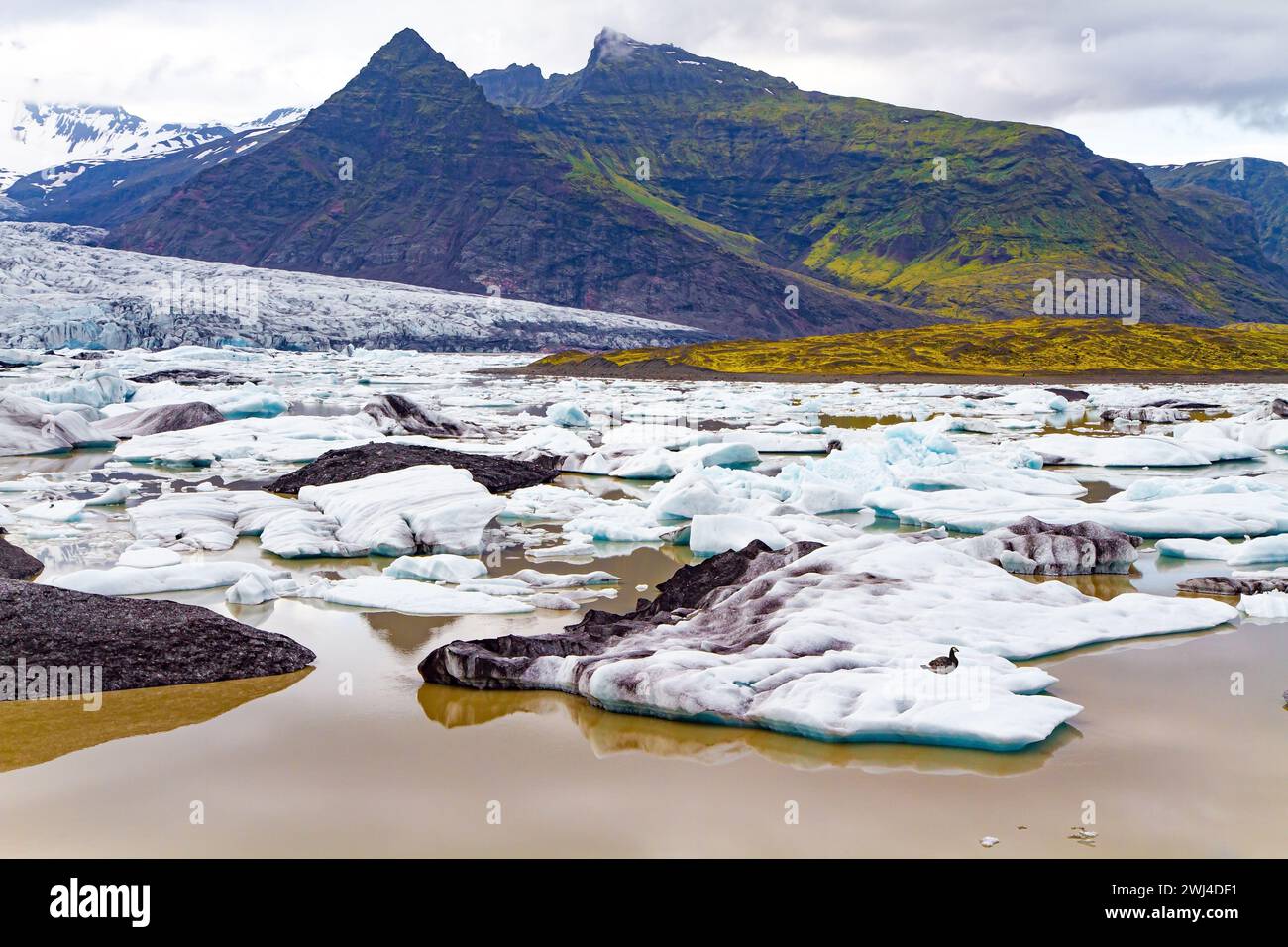Ghiacciai tra montagne fredde Foto Stock