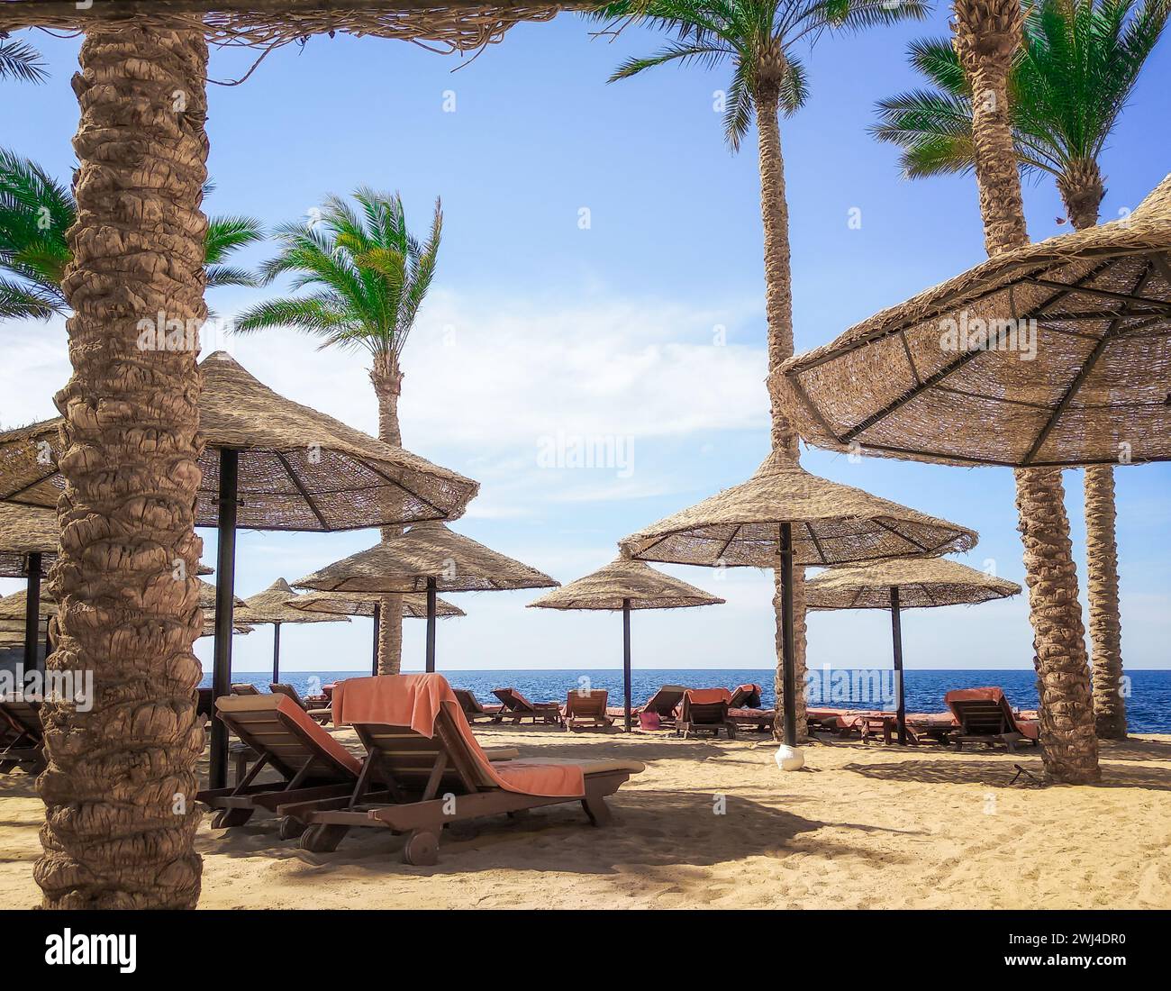 Spiaggia turistica senza persone con palme e ombrelloni in legno in Egitto Foto Stock