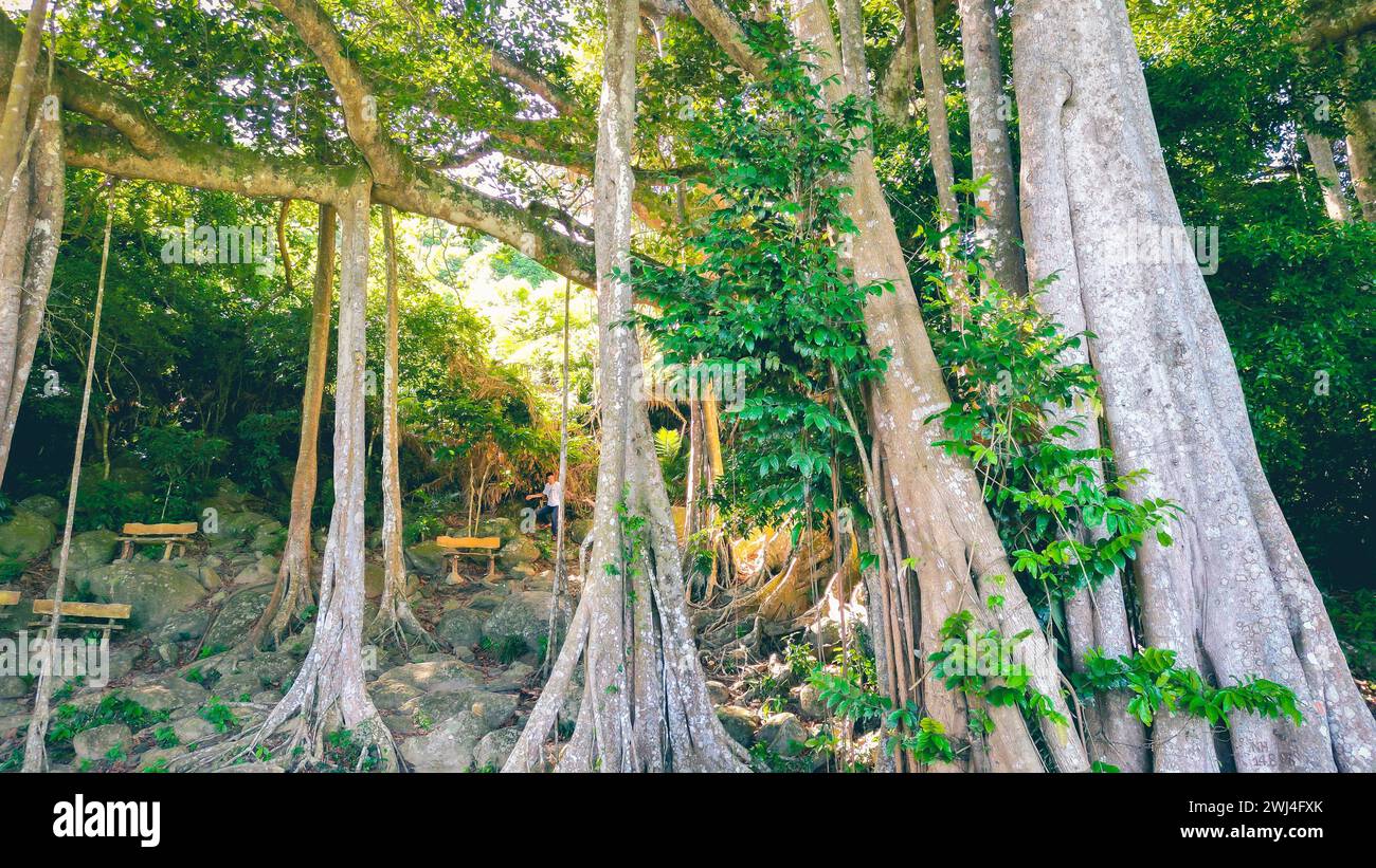Da Nang, Vietnam: Veduta aerea della penisola di Son tra e della pagoda di Linh Ung, una delle destinazioni più famose per i turisti. Foto Stock
