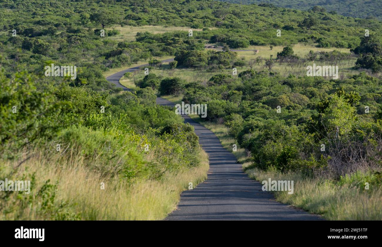 Riserva naturale del Parco di Hluhluwe Imfolozi Sudafrica Foto Stock